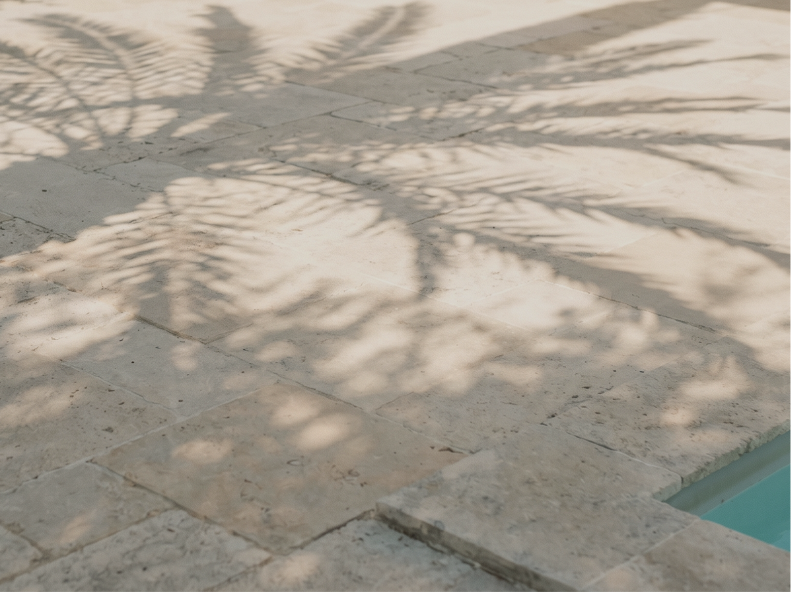 Palm shadows across a pale terrace beside the pool